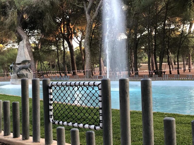 70574750_3035944523087815_6392256876687392768_n