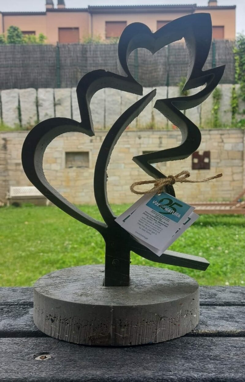 347417653_210751508578527_3750237840697768394_n